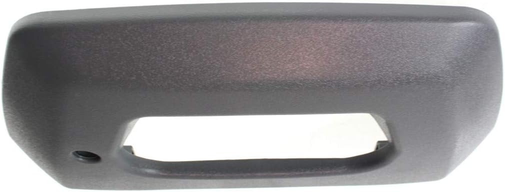 Textured Gray Plastic Tailgate Handle Bezel Pack of 2 D6575