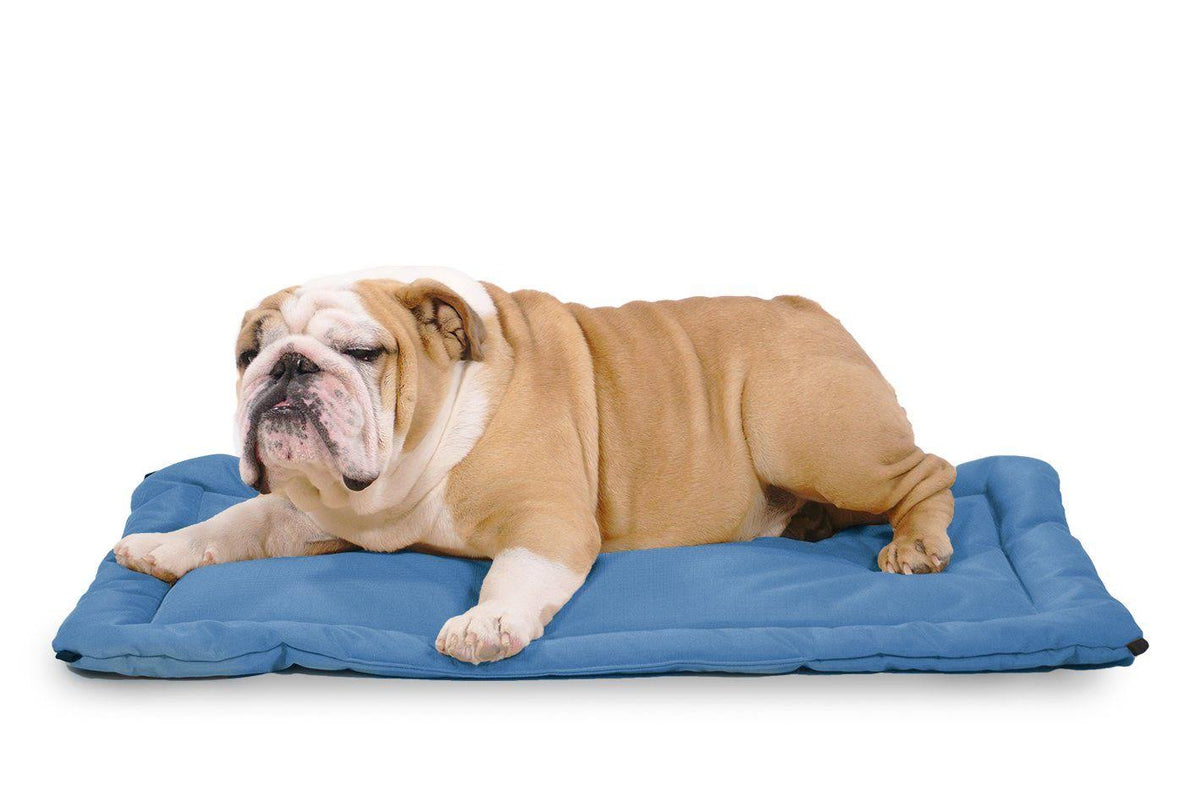 Chew Resistant Crate Pad, Blue / X-Large F185422
