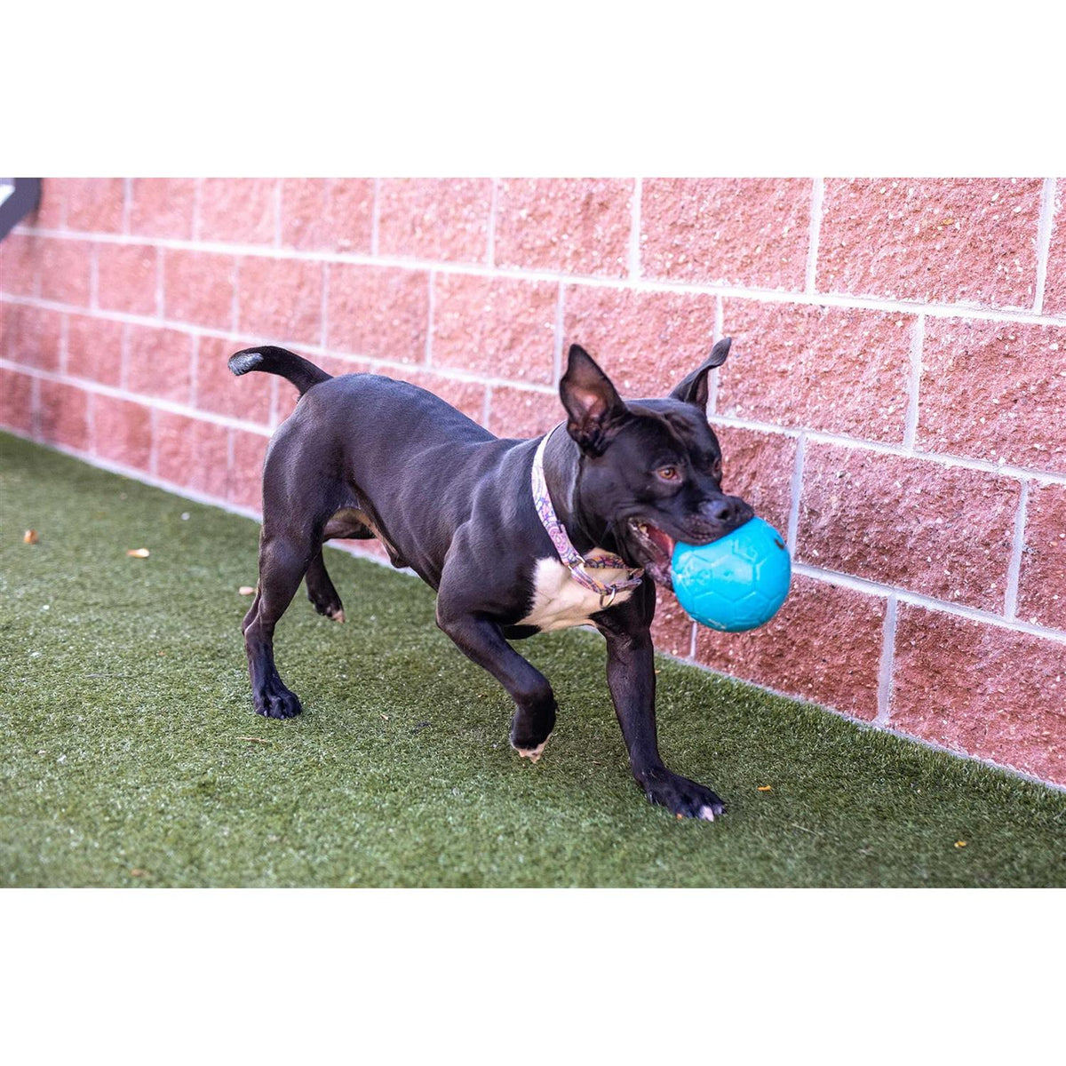 Soccer Ball B29542