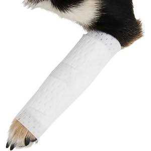 Pets Bandages Y569978