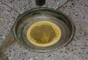 Disposable Floor Drain Strainers - 20 Pack L309