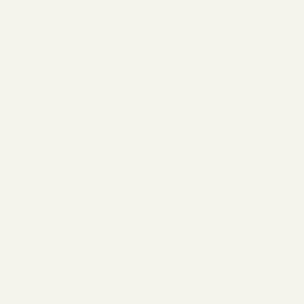 White 2 Gallon Latex Primer B549842